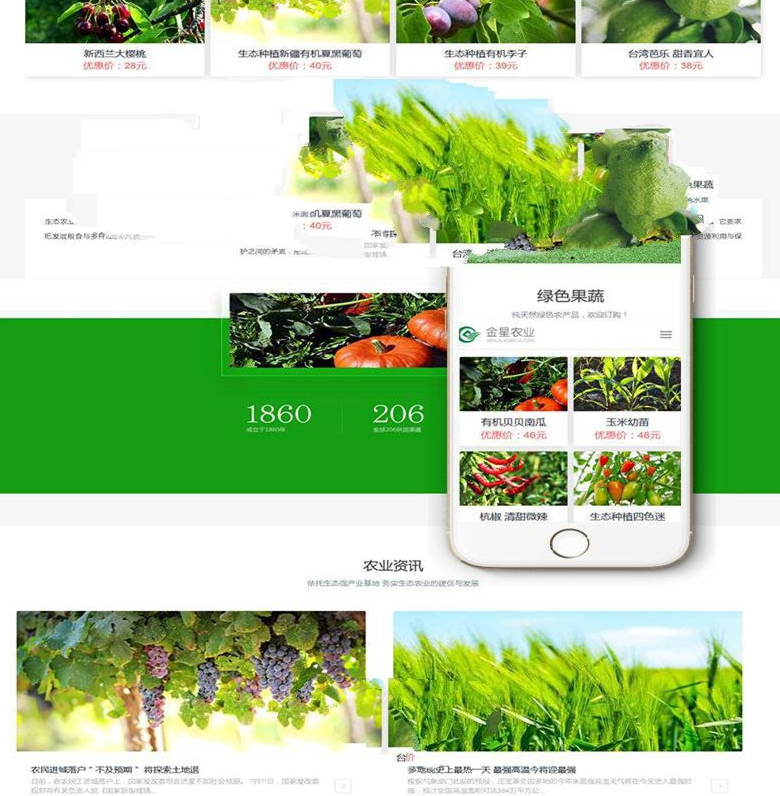 图片[2]-响应式生态水果蔬菜商城网站模板(自适应手机移动端) | 织梦dedecms