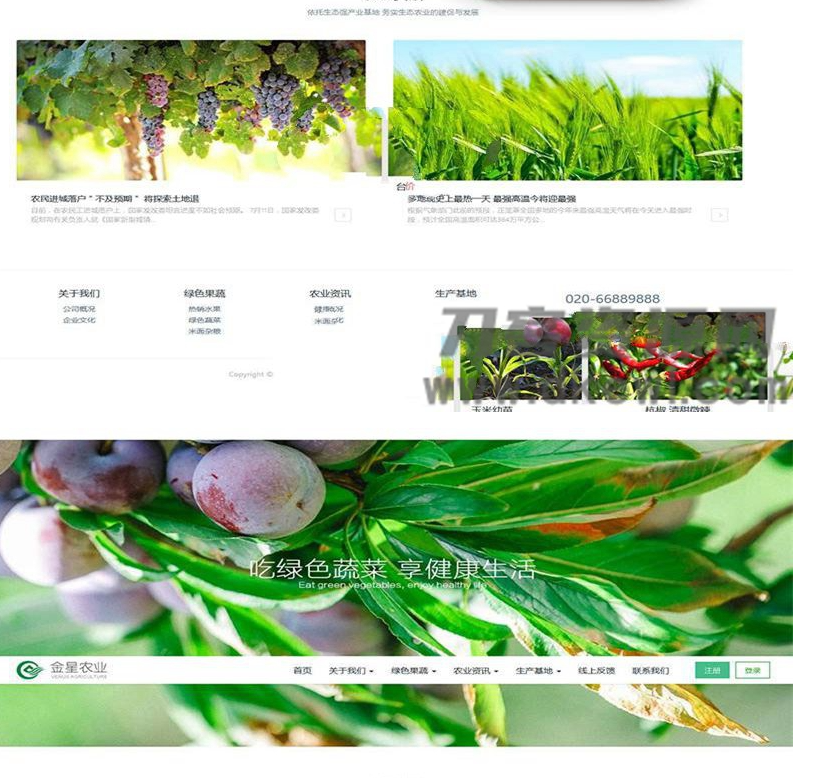 图片[3]-响应式生态水果蔬菜商城网站模板(自适应手机移动端) | 织梦dedecms
