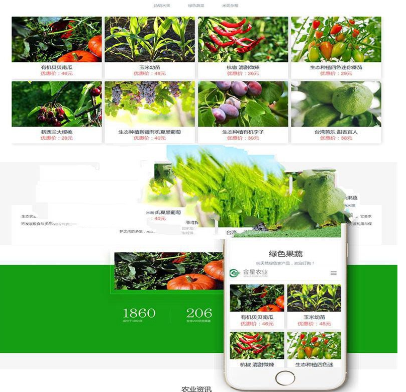 图片[4]-响应式生态水果蔬菜商城网站模板(自适应手机移动端) | 织梦dedecms