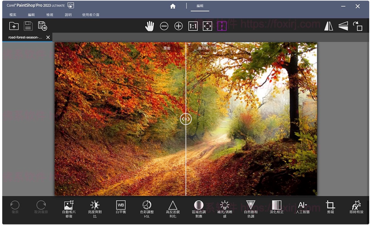 Corel PaintShop Pro 2023 Ultimate 25.2.0.58 图像编辑设计
