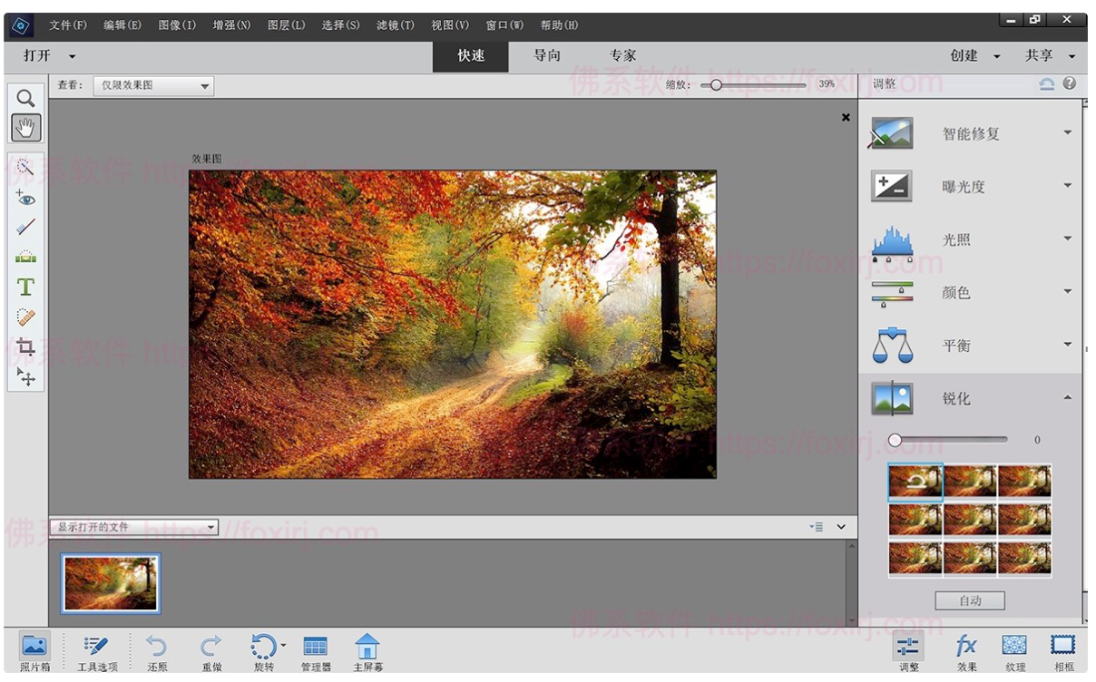 Adobe Photoshop Elements 2023.1 图像编辑处理