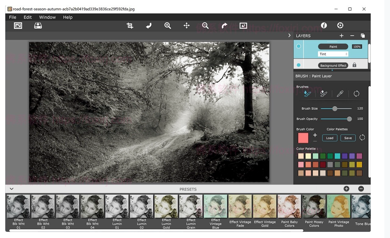 JixiPix Hand Tint Pro 1.0.19 图片调色修图