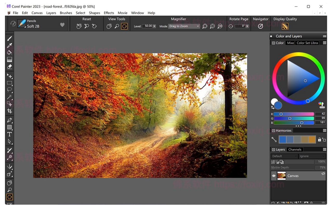 Corel Painter 2023 23.0.0.244 美术绘图设计