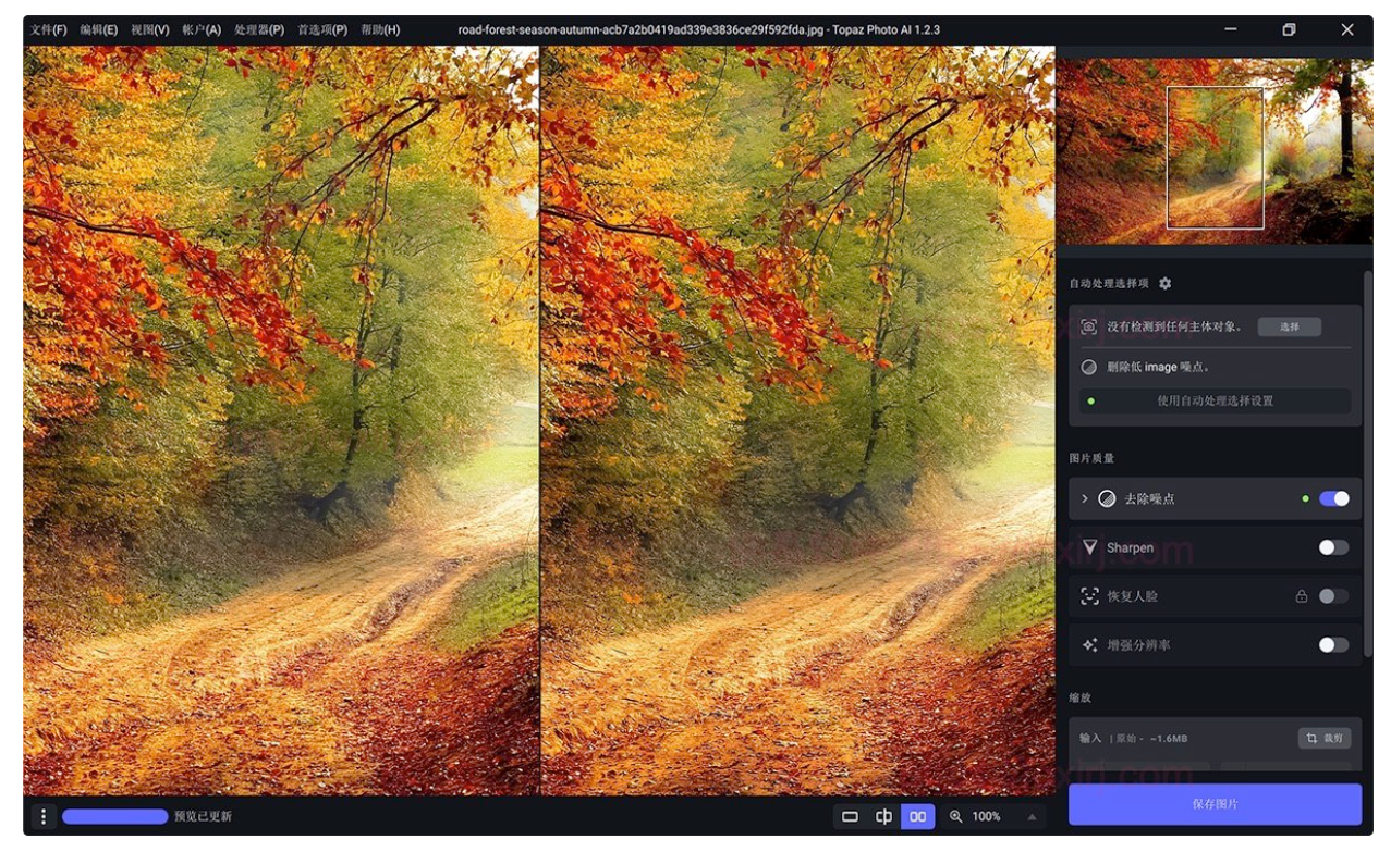 Topaz Photo AI 2.0.2 +离线模型 AI图片智能降噪