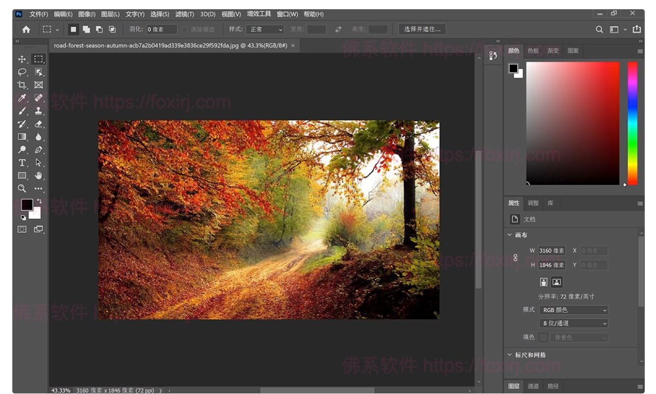 Adobe Photoshop 2024 25.1.0.2343 Beta +Neural Filters 图像编辑处理设计