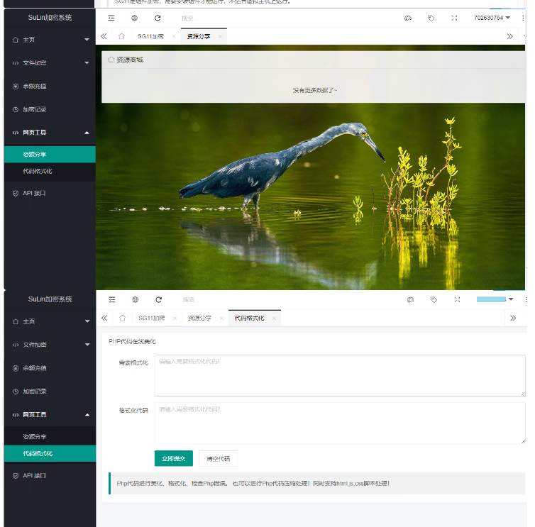 图片[2]-企业级程序 苏林加密系统内测发布 支持多种加密