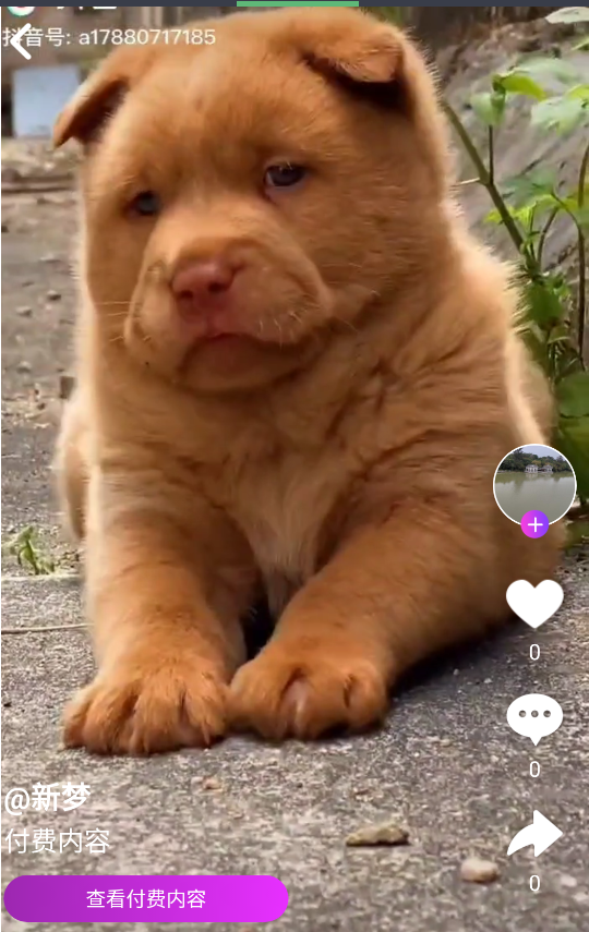 图片[7]-2021最新直播短视频带货完美运营APP源码 购物直播交友系统源码