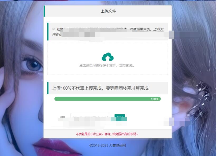 图片[2]-2025最新临时文件上传存储分享系统 临时文件网盘系统源码