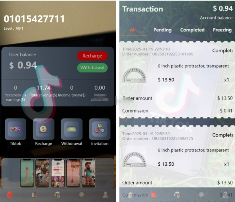新版本海外tiktok多语言抢单系统源码/带文本搭建教程-蜡笔傻新源码