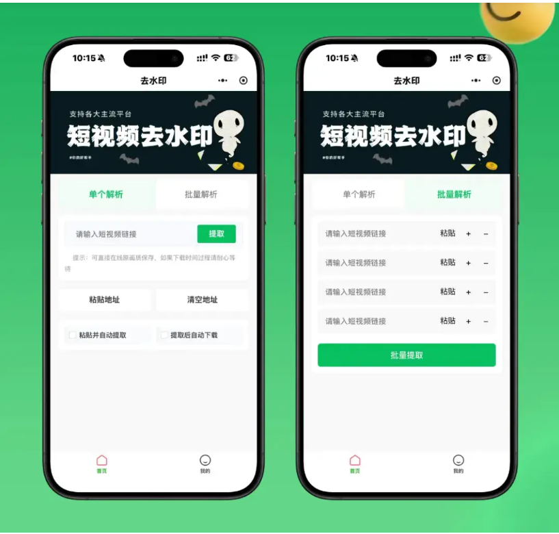 2026去水印小程序源码 v1.6.5 无水印解析工具 带流量主-蜡笔傻新源码